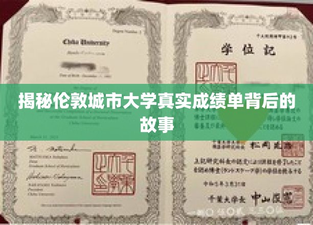 伦敦城市大学成绩单之谜，揭开学术成就的神秘面纱