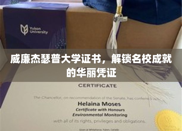 名校荣耀之门，威廉杰瑟普大学证书，成就非凡的璀璨通行证