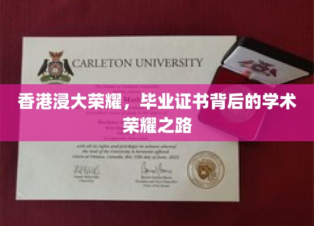 浸大荣耀绽放，毕业证书见证的不凡学术征程