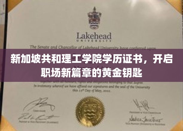 解锁职场巅峰，新加坡共和理工学院证书，成就未来无限可能