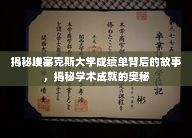 探索埃塞克斯大学成绩单背后的神秘力量，解码学术成就的秘密