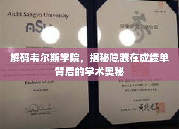 解码韦尔斯利学院：揭秘成绩单背后的学术秘境