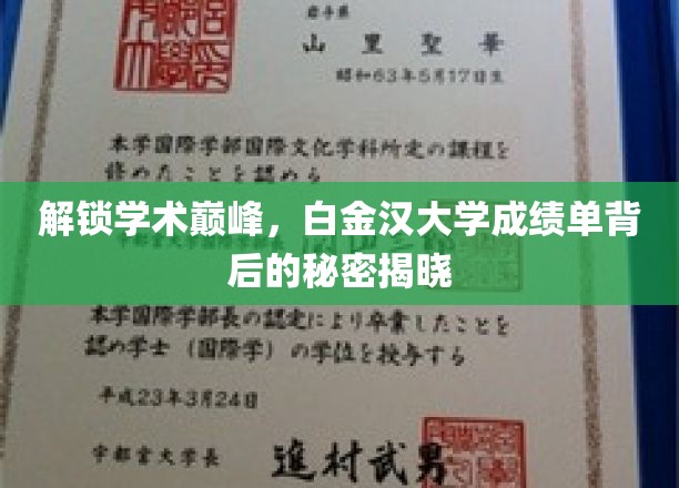 揭开白金汉大学卓越成绩单的神秘面纱
