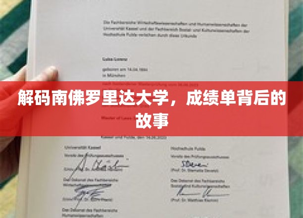 解码南佛罗里达大学，揭示成绩单背后的故事