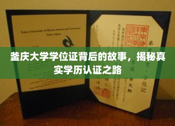 釜庆大学学位证背后的故事，揭秘真实学历认证之路