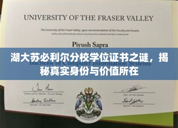 湖大苏必利尔分校学位证书之谜，揭秘真实身份与价值所在