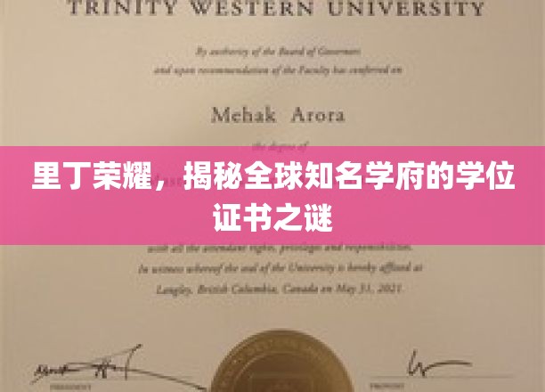 里丁荣耀，揭秘全球知名学府的学位证书之谜