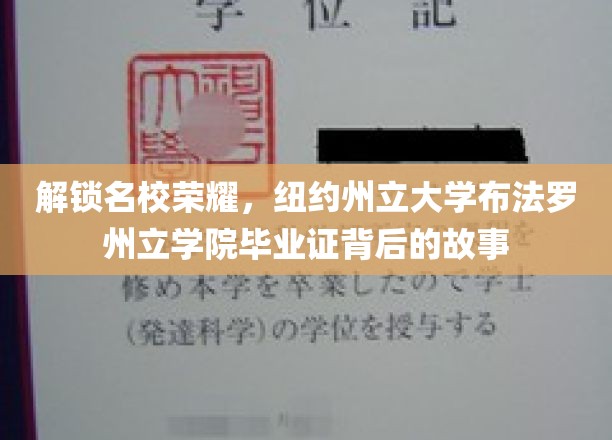 解锁名校荣耀，纽约州立大学布法罗州立学院毕业证背后的故事