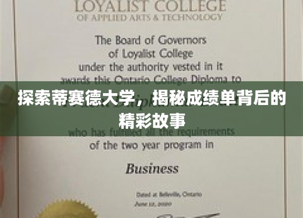 揭开蒂赛德大学成绩单背后的学术传奇