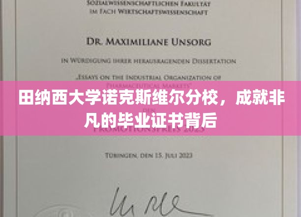 田纳西大学诺克斯维尔分校，非凡毕业证背后的故事与辉煌