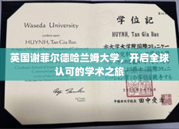 探索谢菲尔德哈兰姆大学的国际学术新篇章