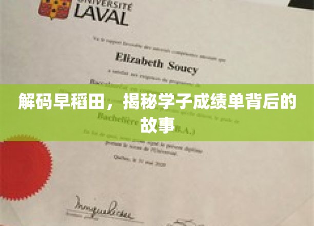 探寻早稻田学霸秘籍，成绩单背后的成长传奇