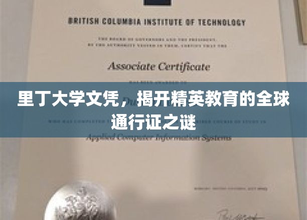 里丁大学文凭，揭开精英教育的全球通行证之谜