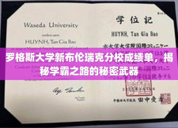 探索罗格斯大学学霸背后的神秘利器，揭秘成绩单中的秘密路径