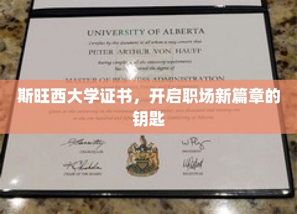 斯旺西大学文凭，解锁职场成功之门