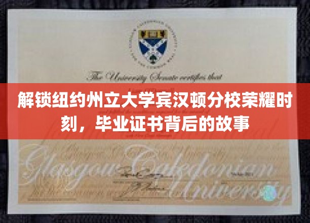 解锁纽约州立大学宾汉顿分校荣耀时刻，毕业证书背后的故事