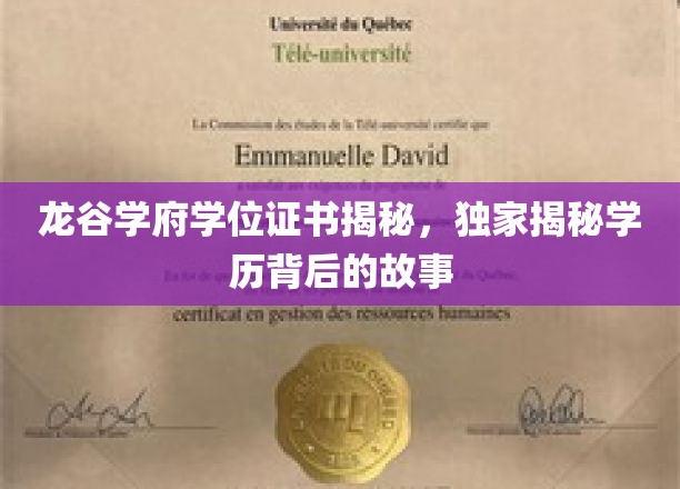 龙谷学府学位证书揭秘，一探学历背后的传奇故事
