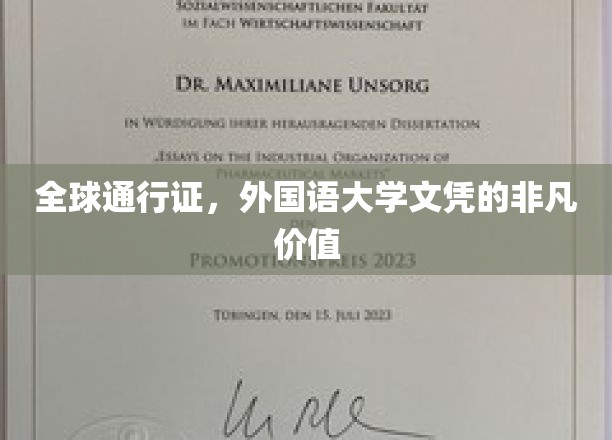 跨国职场通行证，外国语大学文凭的独特魅力