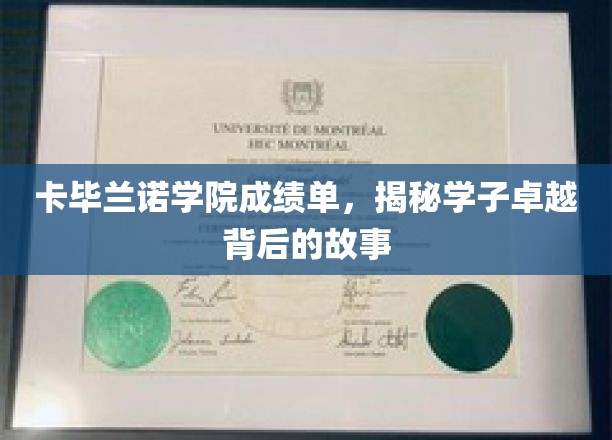 卡毕兰诺学霸秘籍，揭秘学子的非凡成长历程