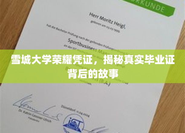 雪城大学毕业证背后的传奇，揭秘荣耀凭证的诞生历程