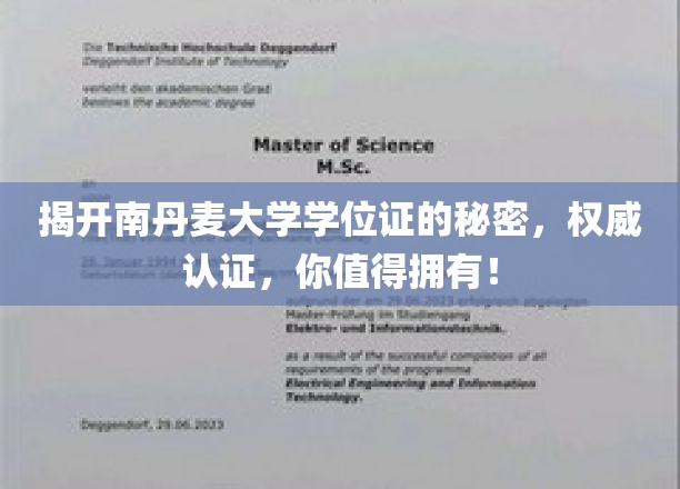 解锁南丹麦大学学位证的尊贵价值，权威认证，成就你的非凡未来！