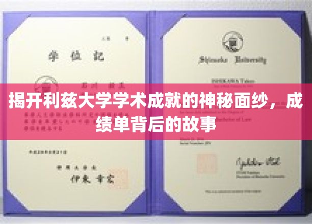 探寻利兹大学卓越成就背后的精彩篇章