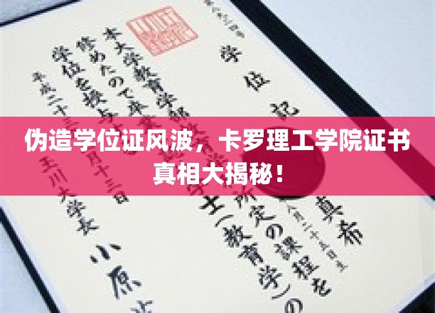 卡罗理工学院证书疑云，伪造风波背后的真相探究