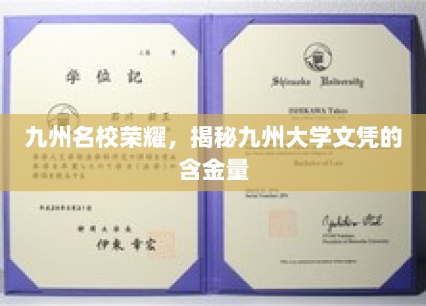 九州学府璀璨，揭秘顶尖文凭的非凡价值