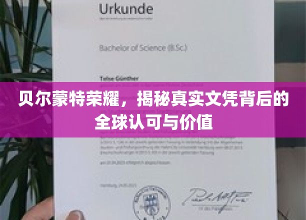 贝尔蒙特荣耀，揭秘真实文凭背后的全球认可与价值