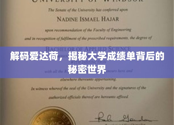 解码爱达荷，揭秘大学成绩单背后的秘密世界