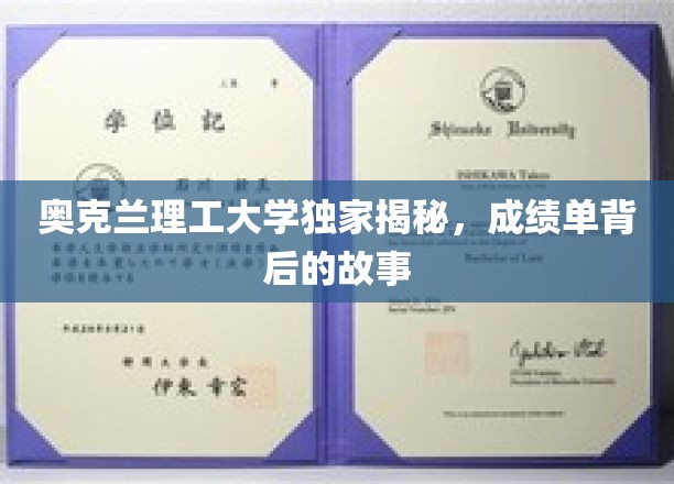 奥克兰理工大学独家揭秘，成绩单背后的故事