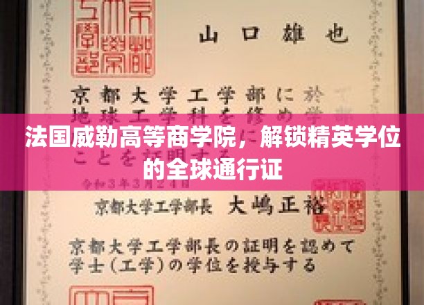 法国威勒商学院，国际精英教育的通行护照