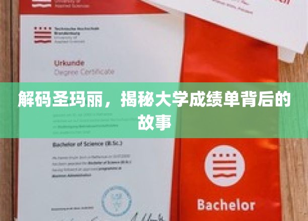 探寻圣玛丽秘档，揭秘成绩单背后的精彩人生轨迹