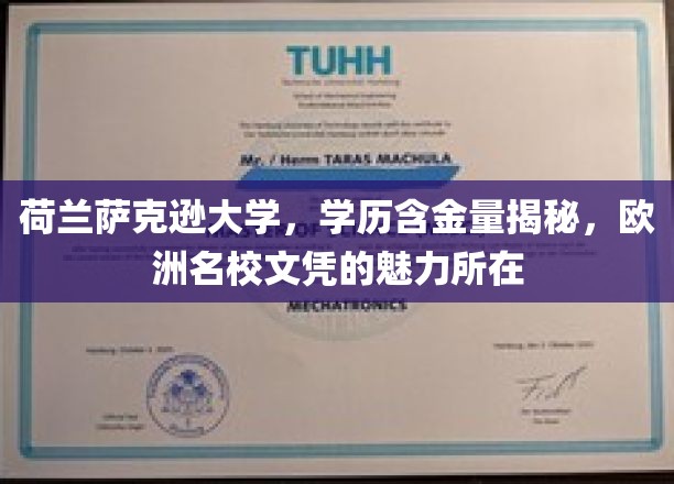 荷兰萨克逊大学，学历含金量揭秘，欧洲名校文凭的魅力所在