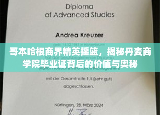丹麦商学院毕业证，哥本哈根精英的秘密武器