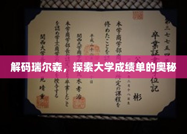 解码瑞尔森，探索大学成绩单的奥秘