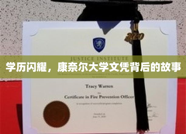 康奈尔荣耀，揭秘精英背后的学历传奇