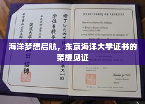 海洋梦想启航，东京海洋大学证书的荣耀见证
