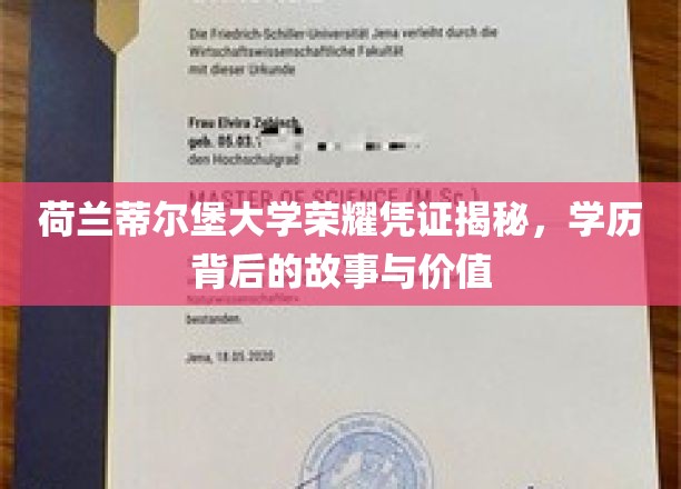 荷兰蒂尔堡大学荣耀凭证揭秘，学历背后的故事与价值