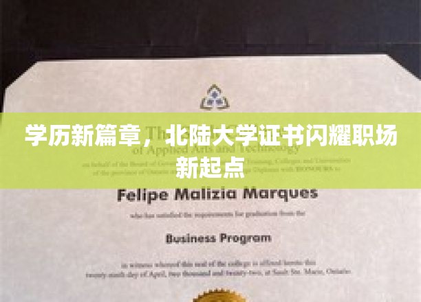 北陆大学新证照，开启职场璀璨新起点