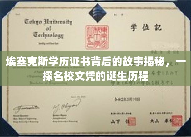 名校文凭背后，埃塞克斯学历证书的传奇诞生之路