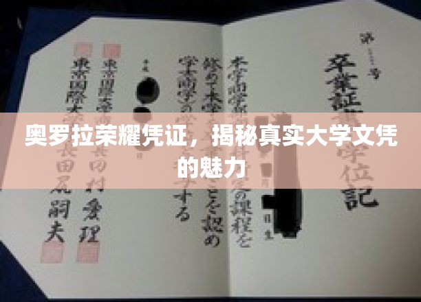 奥罗拉荣耀凭证，探索真实大学文凭的独特魅力