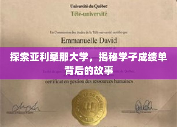 解码亚利桑那大学，学子成绩单背后的成长轨迹