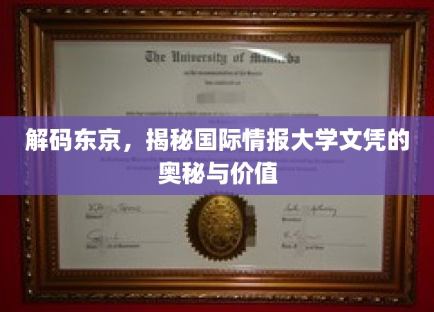 解码东京精英教育，揭秘国际情报大学文凭的非凡魅力