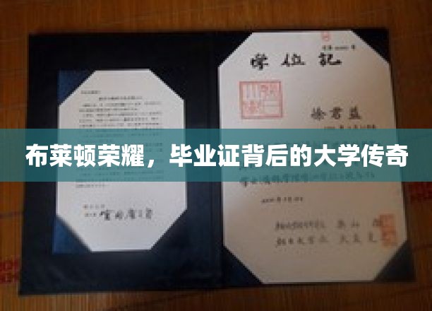 布莱顿荣耀，毕业证背后的大学传奇