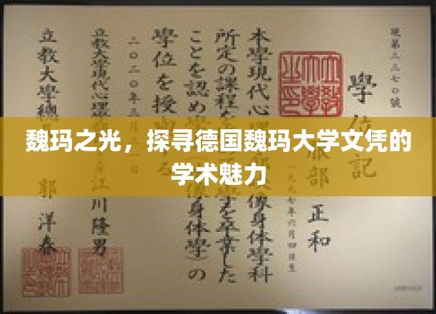 魏玛之光，探寻德国魏玛大学文凭的学术魅力