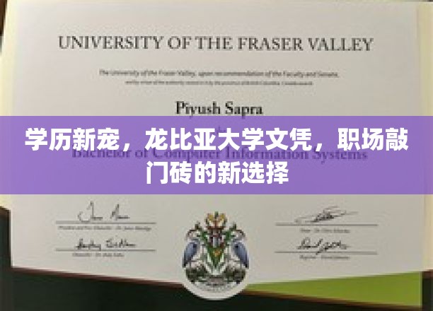 龙比亚大学学历崛起，打造职场新起点，学历新宠引领潮流