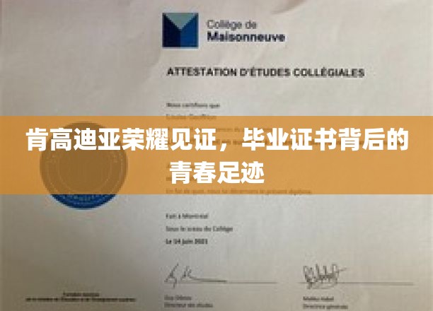 肯高迪亚荣耀见证，毕业证书背后的青春足迹