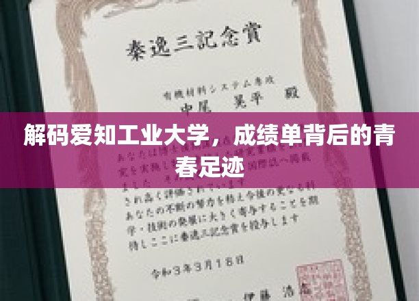 青春足迹，探秘爱知工业大学学子非凡成绩背后的故事