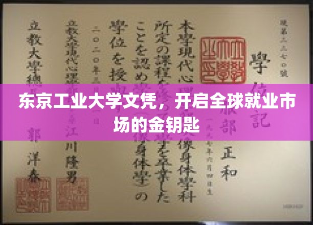 东京工业大学文凭，解锁国际职场新天地